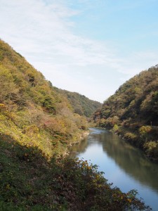 写真3