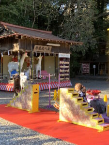 Nikko Saru Gundan monkey show